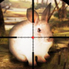 Игра Охота на Кроликов 3Д - Онлайн