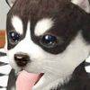 Игра Симулятор Собаки: Щенок - Онлайн
