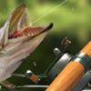 Игра Рыбалка: Утренний Улов - Онлайн
